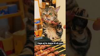Download lagu Haye aj to maza he agya #shorts #cat #catlovers mp3