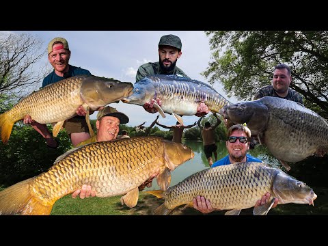 Lillybelle carp fishing France