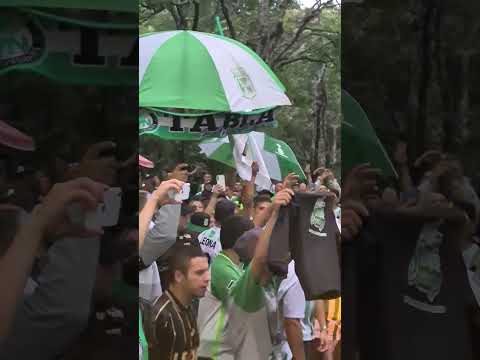 "La mejor hinchada de Colombia, esperando la llegada del bus verdolaga,  previo al juego Vs Millos" Barra: Los del Sur &bull; Club: Atlético Nacional
