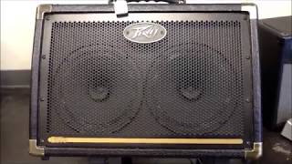 Video thumbnail for A Look at the Peavey E208 Ecoustic Amplifier by JandW Music