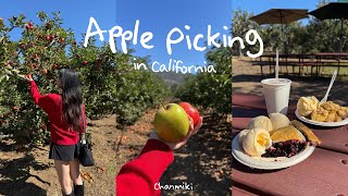 カリフォルニアのりんご狩りと絶品アップルパイ🍎 | アメリカ生活 秋の過ごし方 | Fall Vlog in the Bay Area | ベイエリア 駐在妻