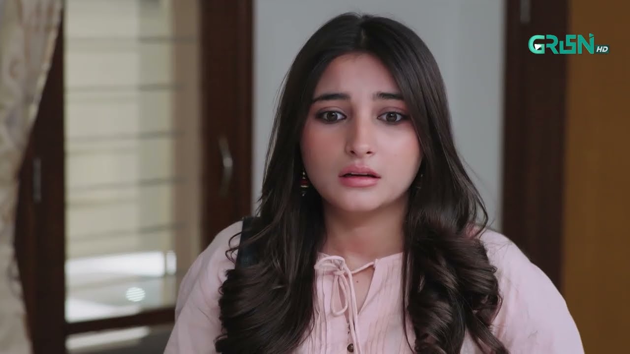Aap Apni Hadh Se Barh Rahi Hein | Humnava | Sumaiya Bukhsh - Hunain Shahid | Green TV