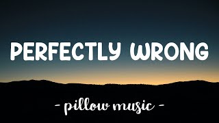 Perfectly Wrong - Shawn Mendes (Lyrics) 🎵