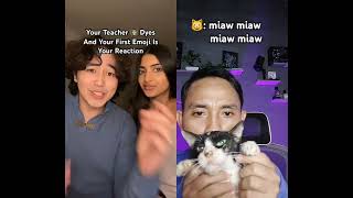 Download lagu my kitten has very bad attitude #relatable #shorts #emoji #trend #cat mp3 Download lagu my kitten has very bad attitude #relatable #shorts #emoji #trend #cat mp3