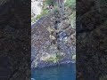 Devil’s Punch Bowl - Lake Crescent, WA