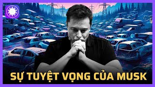 Sự tuyệt vọng của Elon Musk