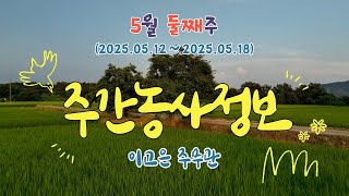 ✨[ 주간농사정보 ] 5월 2째주 (2025. 05. 12. ~ 05. 18.)