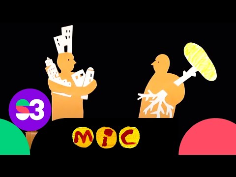 El cançoner del Mic: El gegant del pi