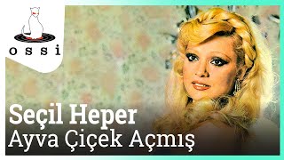 Seçil Heper / Ayva Çiçek Açmış