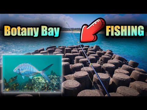 What’s Lurking Off the Breakwall? | Botany Bay Hookups
