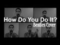 How Do You Do It - Beatles Cover 