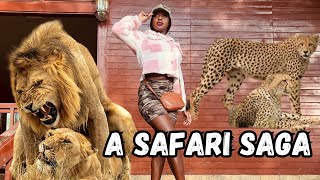 How to travel in style for safari |my safari trip in Kenya
