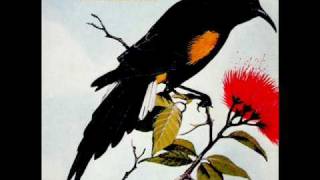 The WolfHounds - Slow Loris