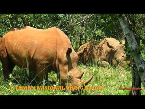 Tempat Wisata Banten Video