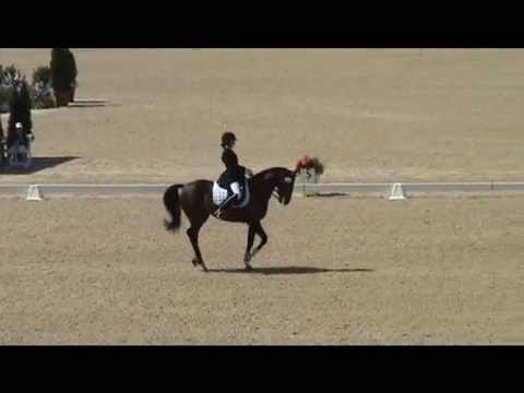 Romincka, FEI Junior Individual Test
