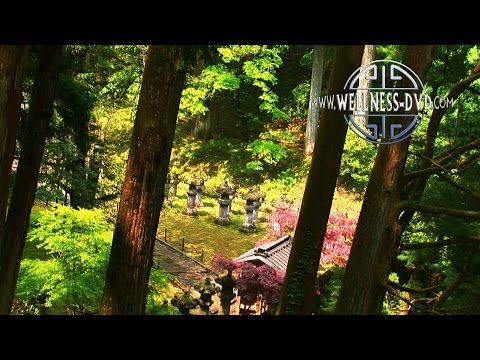 Temple Society: Qi Gong - Music For A Soft Energy Flow