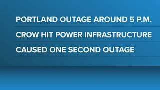 Bird contact with CMP substation causes brief power outage in Portland