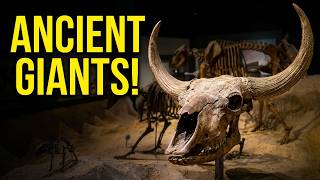 Texas Science & Natural History Museum