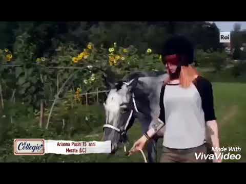 I ragazzi del collegio 1960