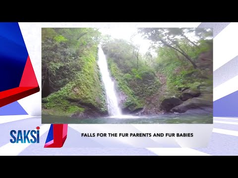 SAKSI RECAP: Biyaheng Saksi: falls for the fur parents and… (Originally aired on April 25, 2024)