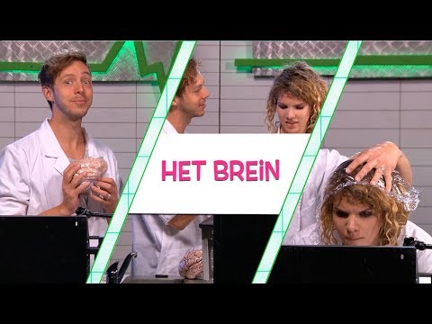 WORD HEEL SLIM MET DE VOLGENDE TEST! - TOPDOKS LABEXPERIMENT