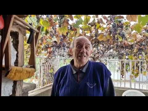 Komšija, pekar Pirot, 14.10.2022.