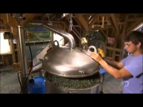 How It's Made - Lavender Essential Oil