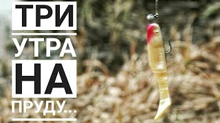 Платная рыбалка в чудиново около ворсмы