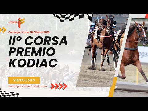 II Corsa del 28 Ottobre 2023 - 5 Anni ed oltre - Metri 1600 - Gentlemen