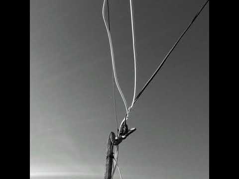 Keith Carnal -  Onwards (Abstract Division Remix)