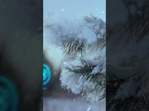 🔥❄️👀 #PokemonGO