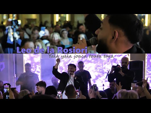 Leo de la Rosiori - Yala yala joaca toata tara | Cover @TinaDavidArtist