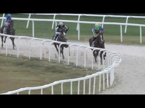 2018.08.26. 04. futam - NYERETLENEK VERSENYE (V.kat.) I. rész (szintetikus pálya)