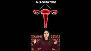 Female Reproductive System | How do Organisms Reproduce?