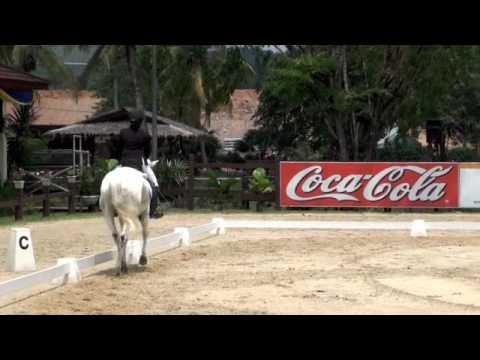 KP Irish Jewel - Novice 2.3 @ Merdeka Masters @ 3QE