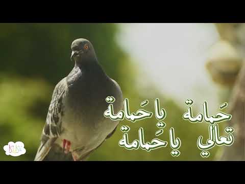 Hamama Ya Hamama | Kabbu Kabbu Aavo | Kika Nasheed