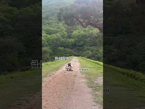 BTS뮤비 촬영지에서 급 군기잡기