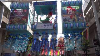 preview picture of video '2013 平塚 七夕まつり (the Star Festival in HIRATSUKA JAPAN  TANABATA)'