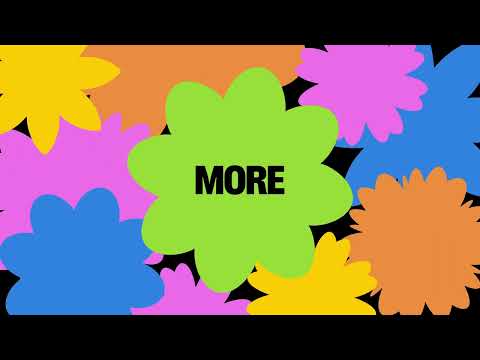 How Bloomerang Turns Donor Insights Into Fundraising Impact