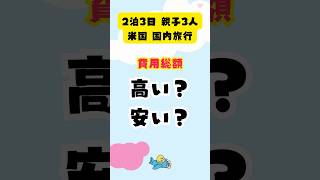 アメリカ国内旅行🇺🇸高い？安い？