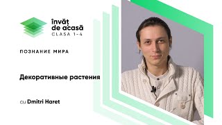 "Декоративные растения"