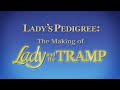 Lady And The Tramp Lady S Pedigree The Making Of Lady And The Tramp