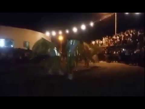 Comissão De Bandeiras Ordem Da Fênix 2015