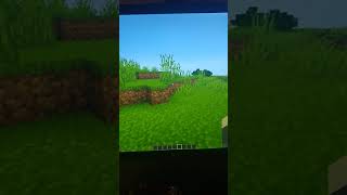 how to crouch in Minecraft