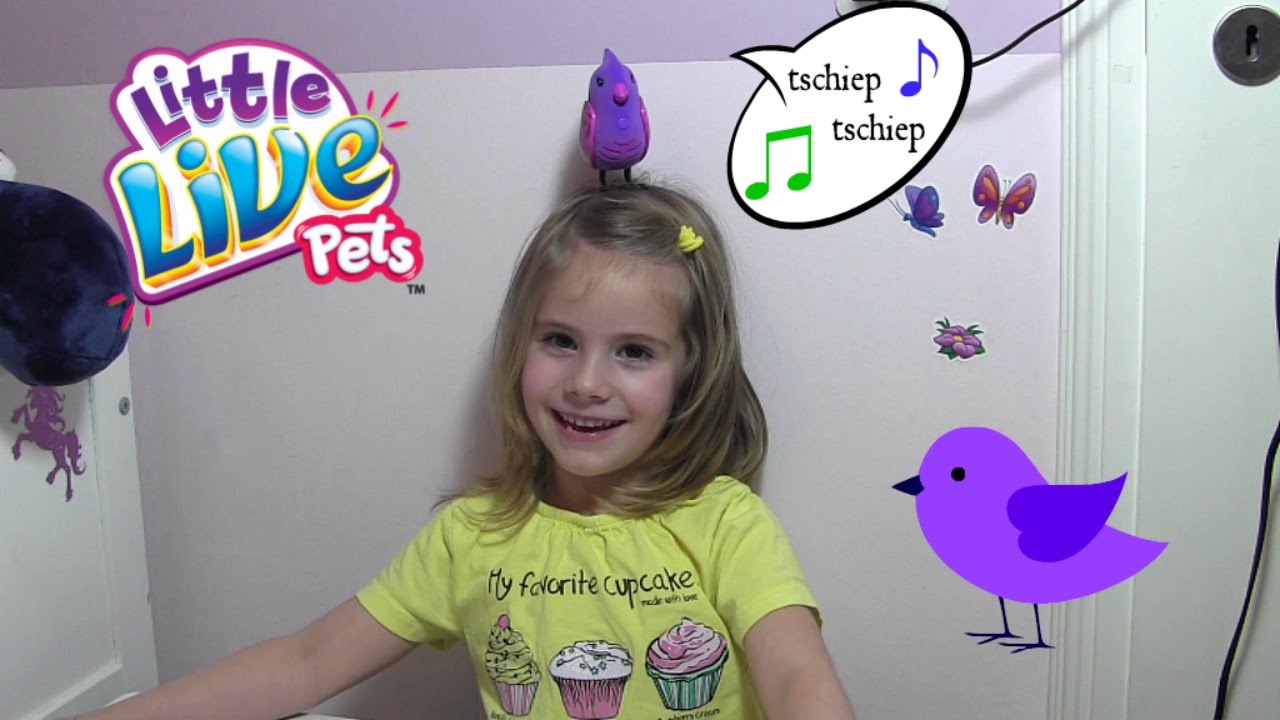 Little Live Pets - Kleiner Vogel Gabi der singt, zwitschert und spricht | BOTI