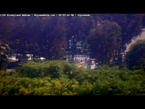 Live webcam of Disneyland Cam