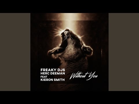 Without You (Original Mix)