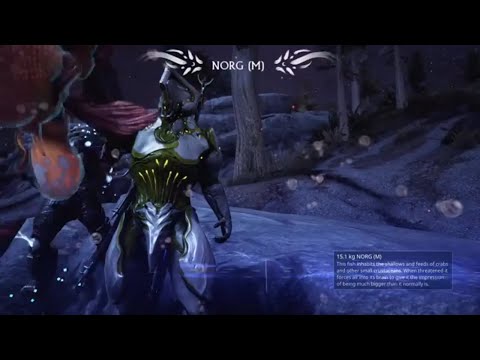 Warframe | Slaying Fish! ( Pt.13) Hunting For Norg | Plains of Eidolon