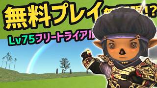 無料プレイが無期限に！なにが出来る？今のヴァナどんな感じ？【FF11】