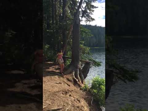 Rope swing!!